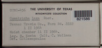 Image Associated With the Occurence